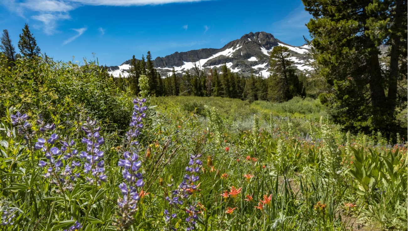 Round Top. Mokelumne Wilderness